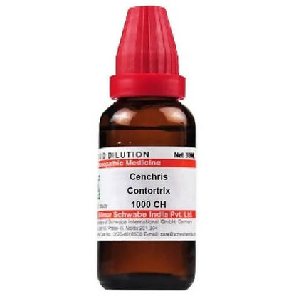 Dr. Willmar Schwabe India Cenchris Contortrix Dilution