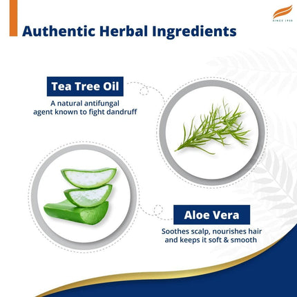 Himalaya Anti Dandruff Shampoo