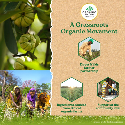 Organic India Garcinia Capsules