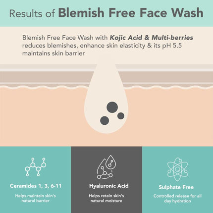 Lotus DermaBotanics Kojic Acid + Multi Berry Blemish-Free Face Wash, pH5.5, For Sensitive Skin