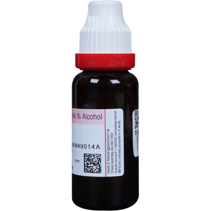 Dr. Reckeweg Allium Sativum Mother Tincture Q