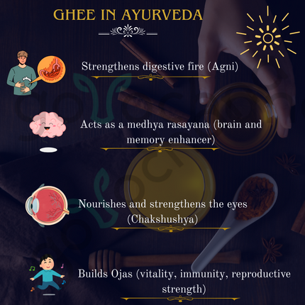 Tatsat Full Moon Day Ghee From Forest Gazing Amruth Mahal A2 Cows | Pure A2 Ghee, Natural & Healthy, Non-GMO
