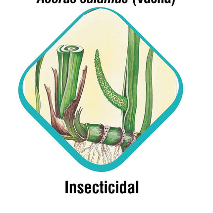 Himalaya Erina-EP Tick And Flea Control Shampoo