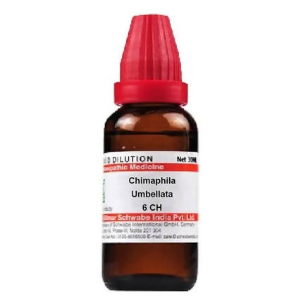 Dr. Willmar Schwabe India Chimaphila Umbellata Dilution