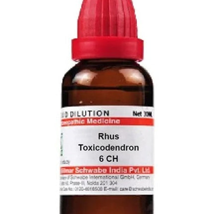 Dr. Willmar Schwabe India Rhus Toxicodendron Dilution