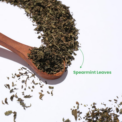 Tea Trunk Spearmint Leaves Natural Calming Tea