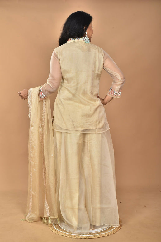 Morchari Women And Hand Embroidery Palazzo Set-Beige