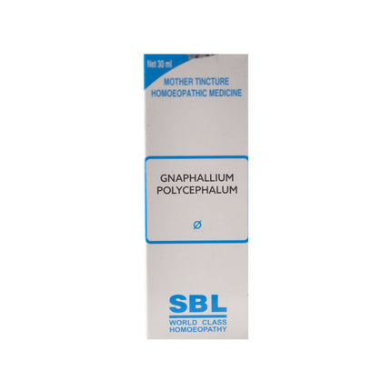 SBL Homeopathy Gnaphalium Polycephalum Mother Tincture Q