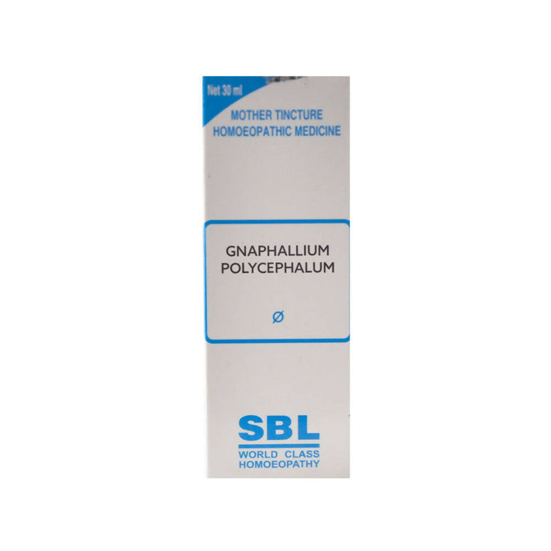 SBL Homeopathy Gnaphalium Polycephalum Mother Tincture Q