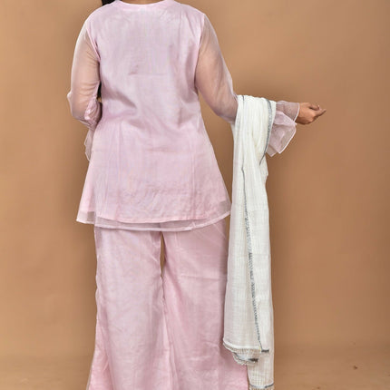 Morchari Women And Hand Embroidery Palazzo Set-Pink