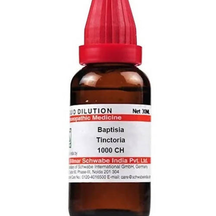 Dr. Willmar Schwabe India Baptisia Tinctoria Dilution