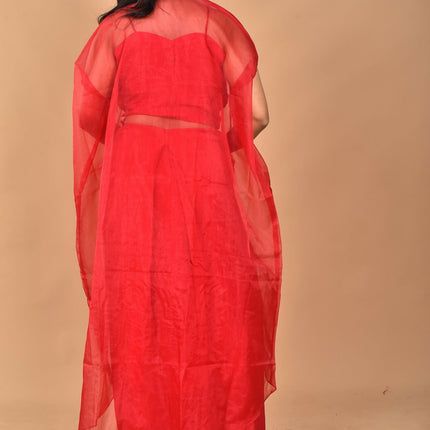 Morchari Women Hand Embroidery Crop Top-Red