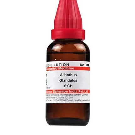 Dr. Willmar Schwabe India Ailanthus Glandulos Dilution