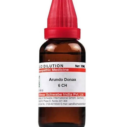 Dr. Willmar Schwabe India Arundo Donax Dilution
