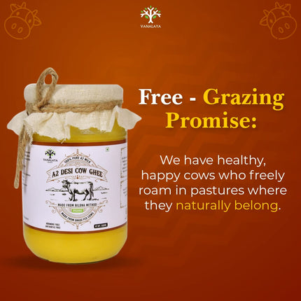 Vanalaya A2 Desi Cow Ghee Prepared By Traditional Bilona Method