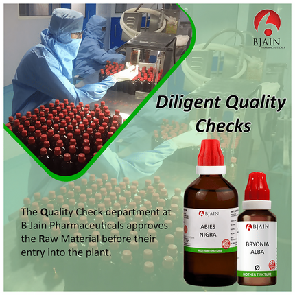 Bjain Homeopathy Carica Papaya Mother Tincture Q