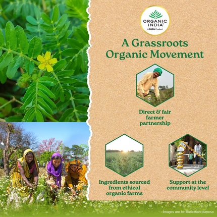 Organic India Gokshura Capsules