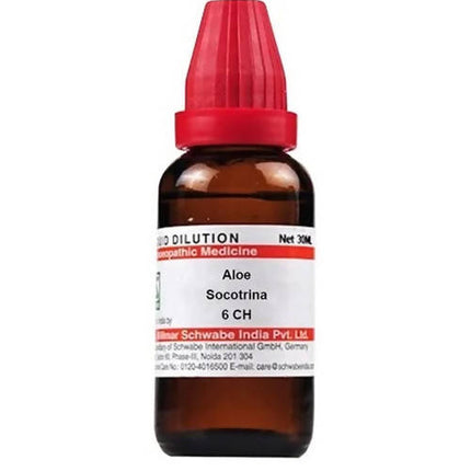 Dr. Willmar Schwabe India Aloe Socotrina Dilution